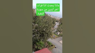 ماذا يحدث اذا قرات اخر آيتين من سورةالبقرة #بدر_المشاري #للبثシ #foryou#Louarnik_Messaoud #محبي_صبرا