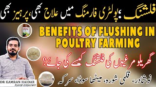 Chicken Flushing | Benefits of Flushing in Poultry Birds | Use of Meetha Soda, Qalmi Shora, Sirka screenshot 4