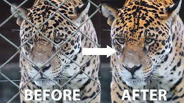 How to remove chain-link fence using a Brush tool in Photoshop CC