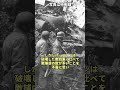 ドイツ鹵獲M4中戦車隊#戦史 #ゆっくり解説 #ww2