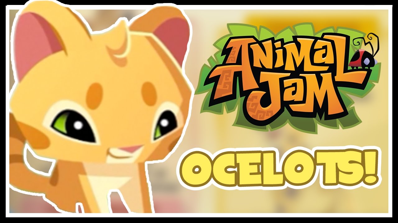 Ocelots Are Here! | Animal Jam - YouTube