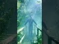 Um dia turistas andavam em cima de um deck, no outro, só pôde ser realizado por meio de mergulho.