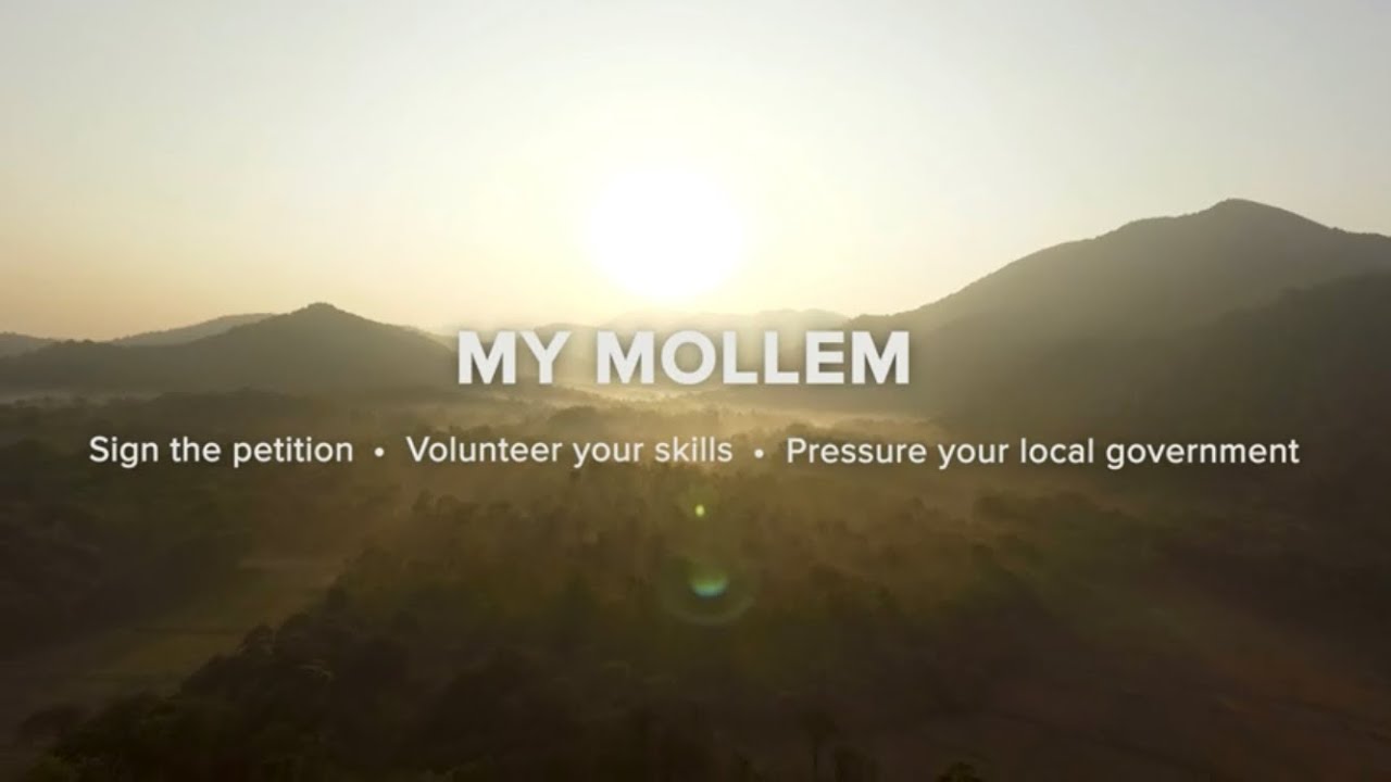 Save Magical Mollem • Project Indomalayan • Creators FOR NATURE