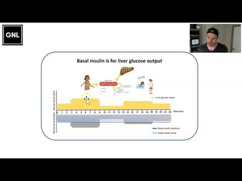 03 Foundations: Basal Insulin (www.theglucoseneverlies.com)