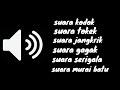 Notifikasi Wa Suara Hewan Lucu Keren Terbaru