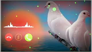 #marathi #instrumental #ringtone marathi ringtone flute heart touching song #trending #song screenshot 3