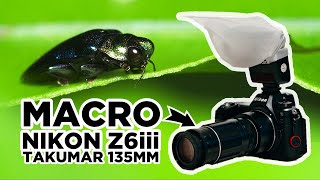 Nikon Z6iii with Super Takumar 135mm for Macro Photography