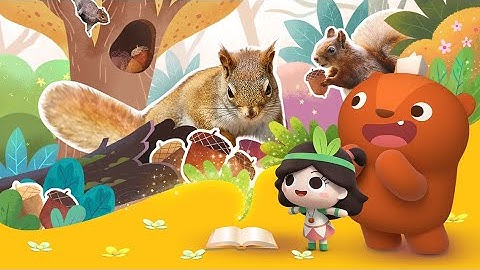 [ENG CC] 大自然小課堂 | 可愛又健忘的小松鼠 | 認識大自然 | Learn from Nature - 天天要聞