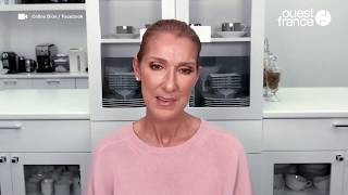 Les Vieilles Charrues annulées, la déception pour les fans de Céline Dion