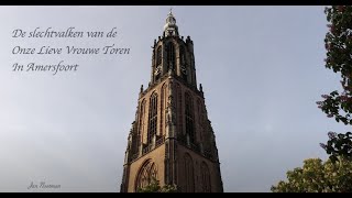 019 Voedertijd (25042024)