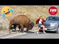 Funny  hilarious peoples life  56  try not to laugh  best funny compilation 2024