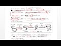 ☆科学と人間生活1-10　栄養素