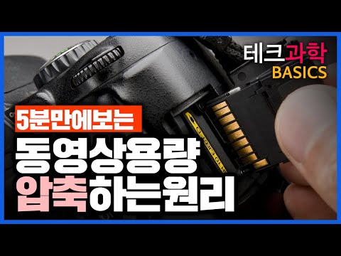 고화질 영상이 1000분의 1🤏로 줄어드는 마법, '동영상 압축'의 원리는? - 테크 과학 BASICS