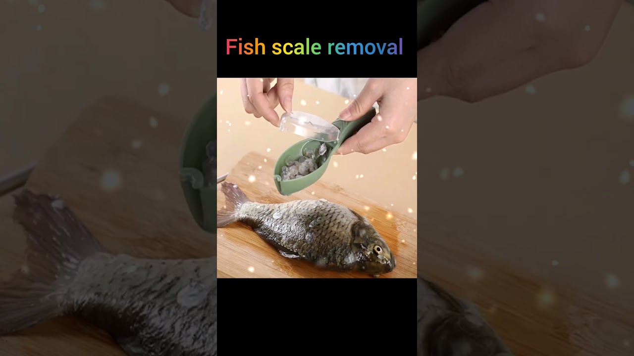 Fish🐟 Scale Removal 🤩|Gadgets 