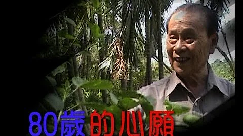 【生命故事】林流《80岁的心愿》星火飞腾 185 - 天天要闻