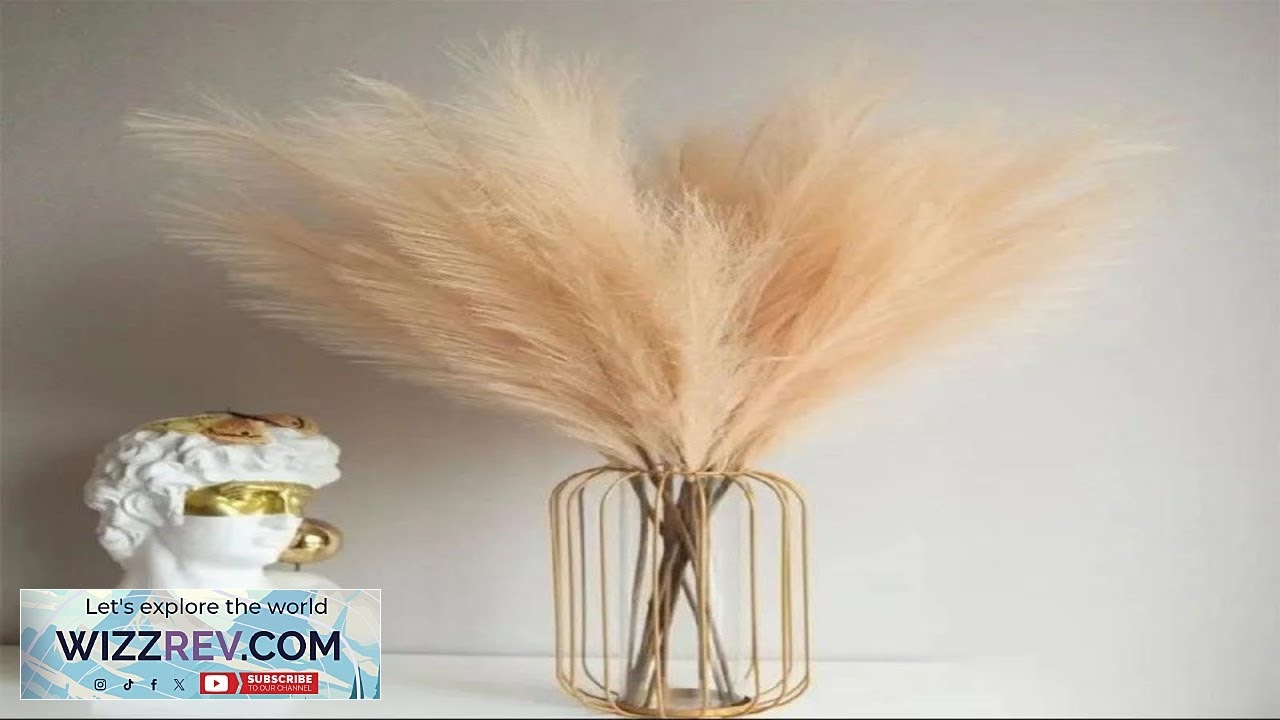 10PCS Artificial Pompous Grass Pompass Branches Fake Fluffy Stems Plants Vase Filler Review