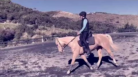 Bronson - schooling April 2019