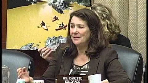 Rep. DeGette Questions Witnesses About Gold King Mine Spill Cleanup