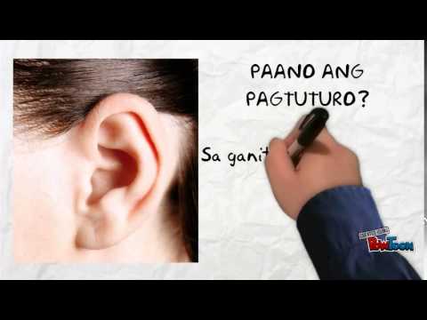 Video: Ano ang kahulugan ng istilo ng pagkatuto?