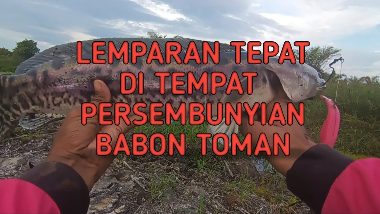 casting-toman-di-sarangnya-youtube