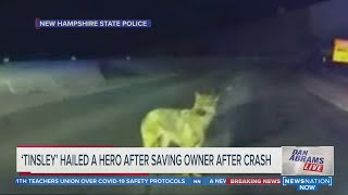 Follow Me Dog Finds Help, Leads Cops To Owners Car Crash Dan Abrams Live