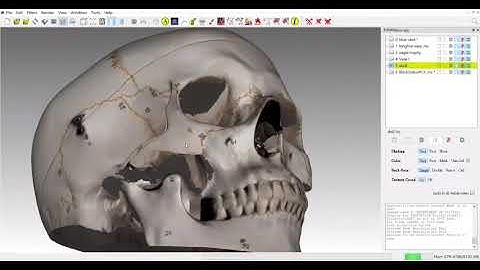 3D Scanning Museum Artifacts Using AI + Structured Light | SolScan