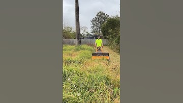 The only RIGHT way to clean up an overgrown yard. #satisfying