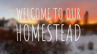 We bought one acre of Newfoundland wilderness to start a Homestead | Someday Series Ep. 10