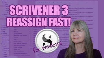 Scrivener 3 for Windows: Change Multiple Document Section Types at Once