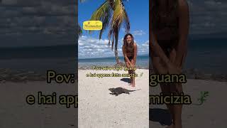 Tra le iguane a Cayo Iguana 🦎🏝️