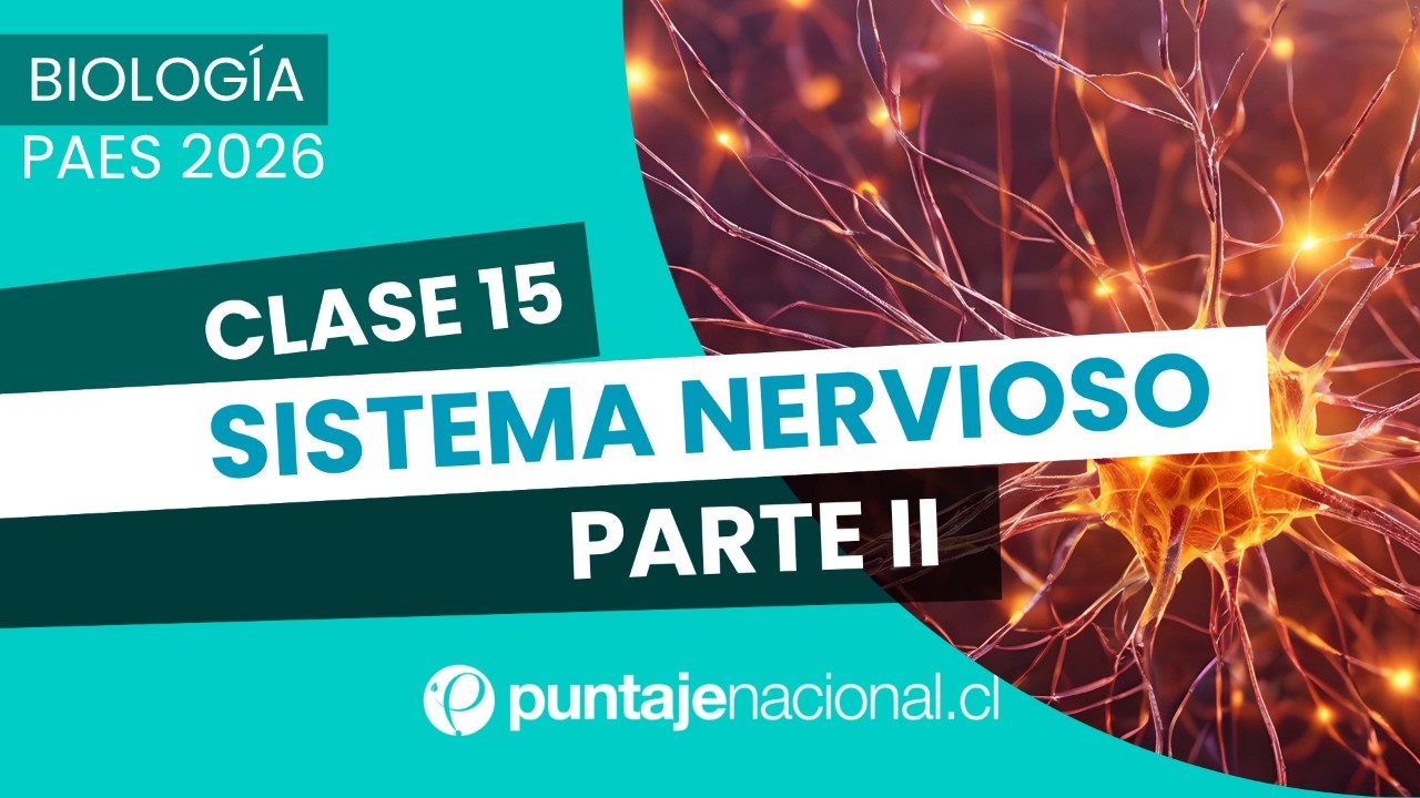 PAES Biología | Sistema Nervioso Parte II | Clase 15