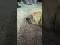He’s definitely not Amused