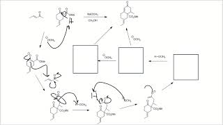 Mechanism (Robinson Annulation)