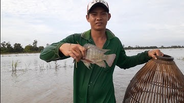 mưu sinh mùa nước nổi với nghề đẩy côn-săn bắt cá ở miền tây--tập 11