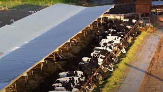 Dairy Management - Program Overview