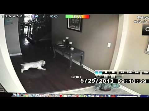 Ghosts in my house!!! [REAL GHOST FOOTAGE]