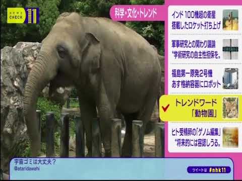 けものフレンズNHKで取り上げられる