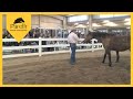 Pat Parelli - Equine Behavior Lecture at Colorado State University (Part 1)