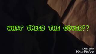 What's under the cover ??