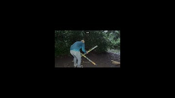 BUILDING A WARM AND COZY BAMBOO SHELTER IN HEAVY RAIN. SOLO CAMPING BUSHCRAFT.