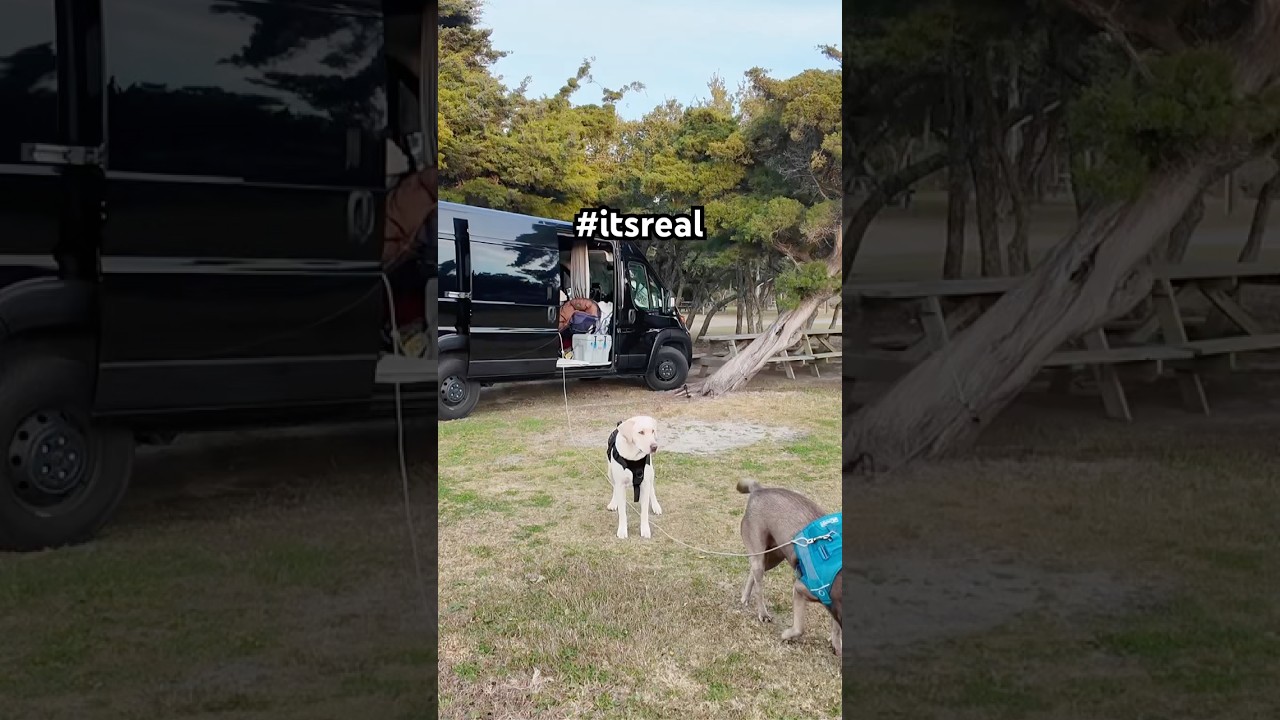 Peace, Dogs, and the Sound | Van Life in Hatteras