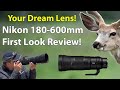 Nikon 180-600mm First Look Review: A Wildlife Photographer&#39;s Field Report