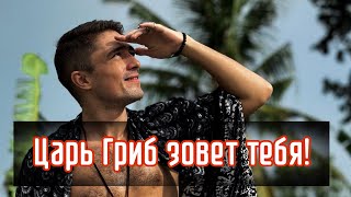 МУХОМОР поможет тебе если..