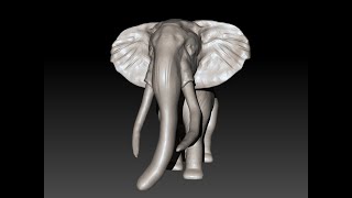 30 Minutes Zbrush Sculpting 88 Elephant