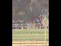 “She looks pretty smart” 😳 Black Caviar’s first trial call