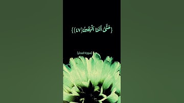سورة المدثر الآية ٣٨ الى ٥١ بصوت القارئ الشيخ #ماهر_المعيقلي