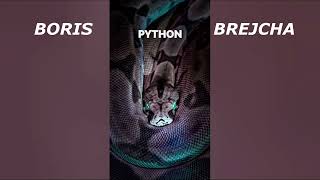 Boris Brejcha - Python (Unreleased)