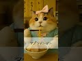 【AI猫】デブでもかわいいからいいじゃない?🍨🐈【CUTIE STREET】