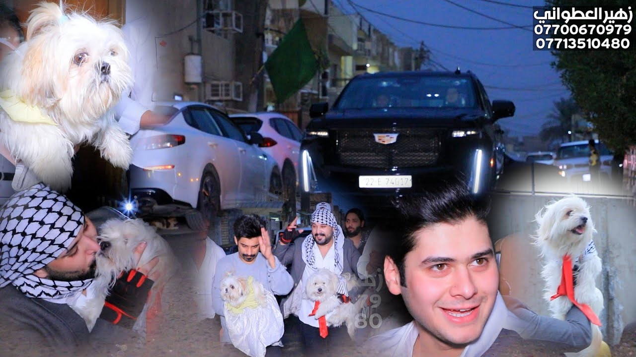 اول مره بل عراق حفل زفاف الجلب بوكي