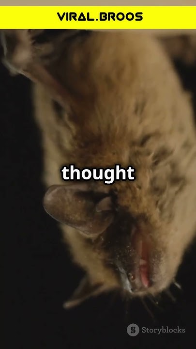 ozzy osbourne bat biting incident year